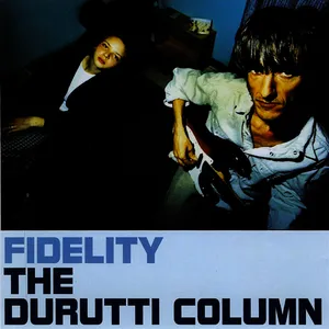Fidelity